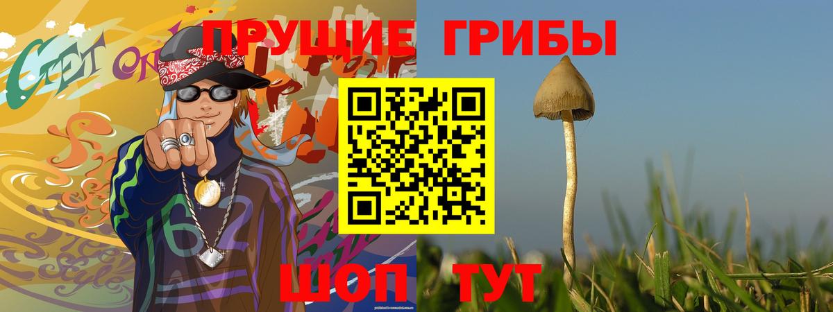Волоколамск  Псилоцибиновые грибы Cubensis  Псилоцибиновые грибы ЛСД  Вход с VPN 